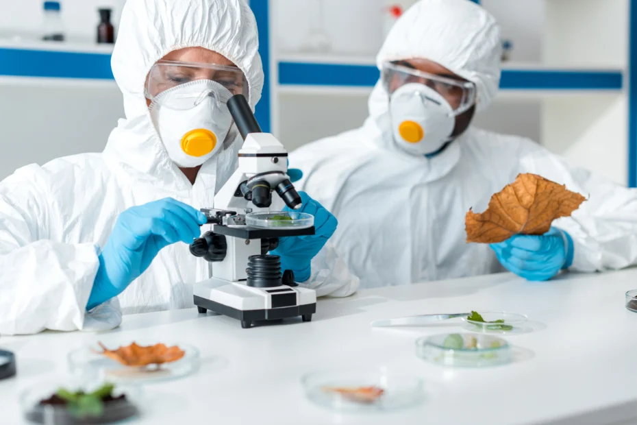 sertifikasi haccp